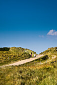 Dünen, Ellenbogen, Sylt, Nordfriesland, Schleswig-Holstein, Deutschland