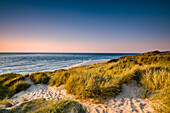 Dunes, Ellenbogen, Sylt Island, North Frisian Islands, Schleswig-Holstein, Germany