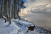 Winter along the Baltic Sea Coast, Heiligendamm, Mecklenburg Western Pomerania, Germany