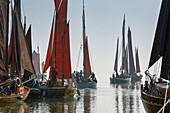 Boats sailing outwards to a regatte, Althagen, Fischland, Darss, Zingst, mecklenburg Western Pomerania, Germany