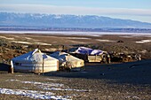 Winter camp of Mongolian nomads in the Gobi desert, Mongolia