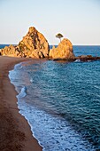 Cala Menuda beach, Tossa de Mar, Costa Brava, Girona province, Catalonia, Spain