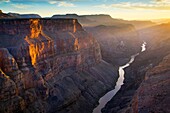 Steep rugged cliffs above the Colorado River at sunset, Toroweap, Grand Canyon National Park, Arizona