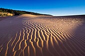 Wind patterns in sand at sunset, Coral Pink Sand Dunes State Park, near Kanab, Kane County, Southern Utah