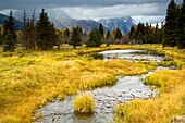 Pond and stream in meadow at Grand Teton National Park, Wyoming