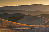 Hills at sunset, Briones Regional Park, Contra Costa County, California.