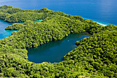 Luftaufnahme Quallensee von Palau, Mikronesien, Palau, Aerial View of Jellyfish Lake of Palau, Micronesia, Palau