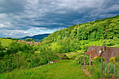 Sasbachwalden, Baden Wurttemberg, Germany, summer scenery, rain clouds, lighting, investigation, , Black Forest, farmhouse, sky, , ,