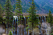 Jiuzhaigou, Nuorilang fall, China, Asia, national park, spring, waterfall, wood, forest, trees, firs