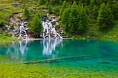 Lac blue, Switzerland, Europe, canton Valais, nature reserve Val dHérens, lake, color, brook, spring, source, trees, larches