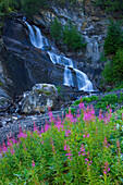 Morge, Switzerland, Europe, canton Valais, cliff, brook, waterfall, flowers, little pasture rose