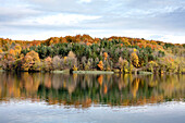 Croatia, Europe, Plitvicer lakes, Jezera, lake, sea, national park, trees, autumn