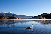 Slovenia, Europe, Bled, lake, autumn, church, mountains, swan