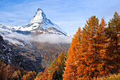 Alps, Alpine panorama, view, tree, mountain, mountains, mountain panorama, mountain point, trees, cliff, rock, mountains, summit