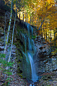 Jaunbach canyon, Switzerland, Europe, canton Freiburg, rock, cliff, brook, Bach, waterfall, trees, wood, forest, autumn