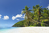 Tropical Beach with Palm Trees at Anse Forbans, Praslin, Seychelles, Indian Ocean.