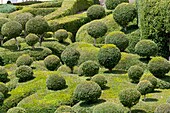 The overhanging gardens of Marqueyssac