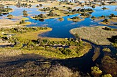 Aerial view of Okavango Delta, Botswana