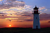 Lighthouse List West, Sylt, North Frisian, Schleswig-Holstein, Germany, Europe.