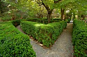 Valldemossa Carthusian monastery gardens of the Sierra de Tramuntana Majorca Balearic Islands Spain