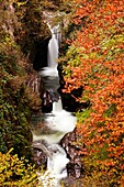 Autumn Landscape waterfall Natural Park Saja Nansa, Cantabria, Spain.
