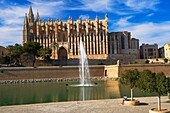 Palma de Mallorca, Cathedral, La Seu cathedral, Palma, Majorca, Balearic Islands, Spain, europe.