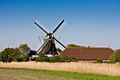 Winmill in the dutch style in Seriem, East Frisia, Lower Saxony, Germany, Europe