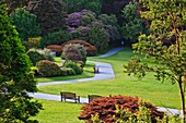 Muckross Gardens, Killarney, Co  Kerry, Ireland