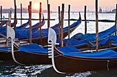 Gondolas at sunrise, Venice, Italy, Europe