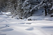 Little River along the North Twin Trail during the winter months in the White Mountains, New Hampshire USA