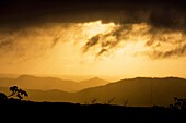 Sunset at Omar Torrijos National Park, Panamá