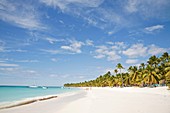 america, caribbean sea, hispaniola island, dominican republic, saona island, sea and beach with palms