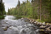 Kitkajoki river, Pieni Karhunkierros day trail, National Park of Oulanka, Kuusamo, Finland