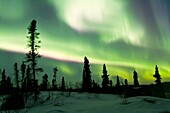 Aurora Borealis Northern Polar Lights over the boreal forest outside Yellowknife, Northwest Territories, Canada, MORE INFO The term aurora borealis was coined by Pierre Gassendi in 1621 from the Roman goddess of dawn, Aurora, and the Greek name for north 