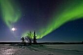Aurora Borealis Northern Polar Lights and waxing moon over the boreal forest outside Yellowknife, Northwest Territories, Canada, MORE INFO The term aurora borealis was coined by Pierre Gassendi in 1621 from the Roman goddess of dawn, Aurora, and the Greek