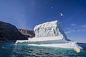 Icebergs grounded along the coast at Qilakitsoq, Greenland.