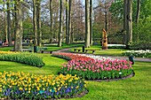 Keukenhof flower garden, near Lisse, Netherlands