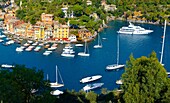 Harbour of Portofino  fashionable seaside fishing village for the wealthy  Ligurian Coast  Italy