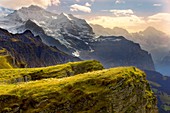 Mannlichen looking The Jungfrau - Swiss Alps