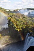Iguazu Falls with rainbow, Iguazu National Park, Argentina