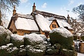 A Cotswolds cottage covered in snow  Chipping Campden  Gloucestershire  England