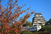 Himeji Castle, Himeji Japan