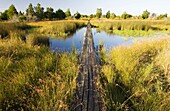 Wooden footbridge to Jekyll Point - Jekyll Island, Georgia USA