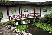 Canada, British Columbia, Vancouver, Chinatown, Dr Sun Yat-Sen Garden.