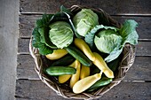 Basket of cabbage, squash and zucchini.