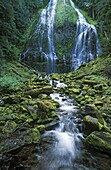 Lower Proxy Falls, Three Sisters Wilderness, Willamette National Forest, Cascade Mountains, Oregon.