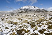 Snow-covered Steppe and Cerro Leon (1434m), Perito Moreno National Park, Southern Andean Patagonia, Santa Cruz, Argentina.
