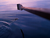 Wooden oar blade, lake Chiemsee, Bavaria, Germany