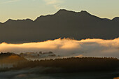 Scenery in morning fog, Zacking, Rimsting, Upper Bavaria, Germany