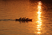 Rowing boat in evening sun, Torri del Benaco, Lake Garda, Verona, Veneto, Italy